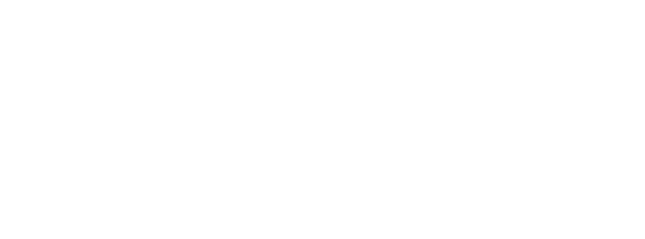 SJS Beratung - Logo