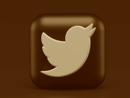 Social Media Twitter